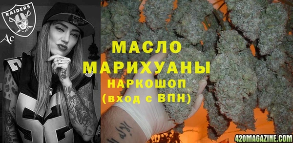 индика Абинск