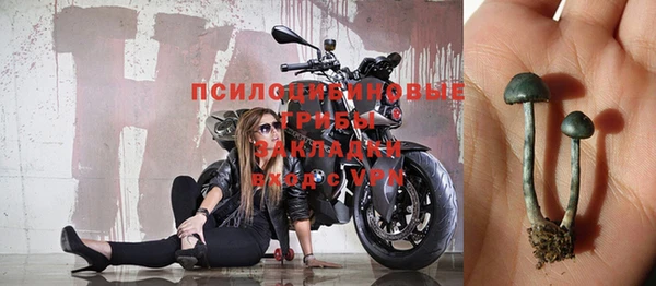 спиды Абаза