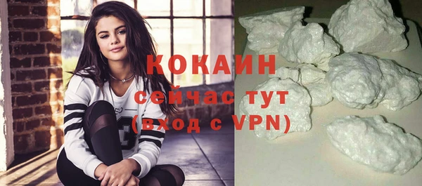 индика Абинск