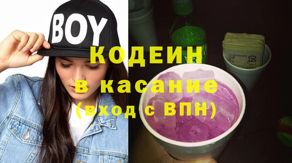 индика Абинск