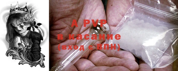 индика Абинск