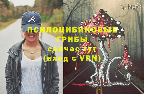 спиды Абаза